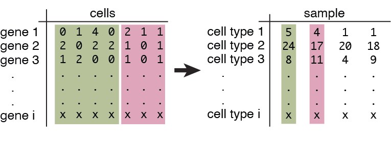 aggregation_cells