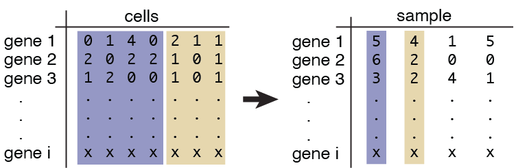 aggregation_cells